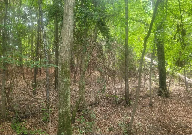 Photo 3 of Land for sale at 1429 Casey Crk Rd, Chesnee, SC 29323 | MLS# SPN325679 | Listing updated on 2026-09-30