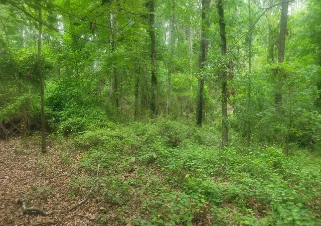 Photo 3 of Land for sale at 1429 Casey Crk Rd, Chesnee, SC 29323 | MLS# SPN325679 | Listing updated on 2026-09-30