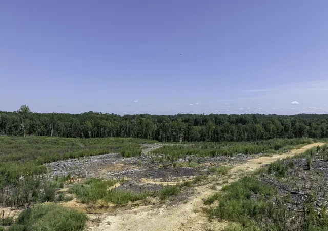 Photo 2 of Land for sale at Cowens Brg Rd, Gray Court, SC 29645 | MLS# SPN328537 | Listing updated on 2026-06-11