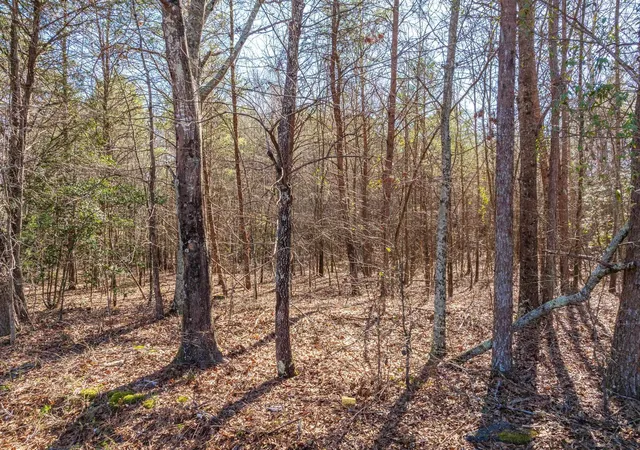 Photo 3 of Land for sale at 0 Brown Sanders Rd, Spartanburg, SC 29307 | MLS# SPN329204 | Listing updated on 2026-04-02