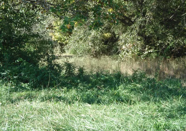 Photo 2 of Land for sale at 5728 Reidville Rd, Moore, SC 29369 | MLS# SPN329790 | Listing updated on 2026-10-02
