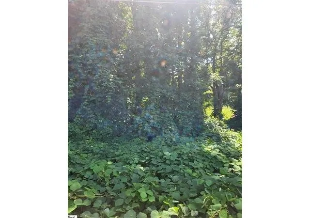 Photo 2 of Land for sale at 00 Clark Rd, Inman, SC 29349 | MLS# SPN332377 | Listing updated on 2026-08-29