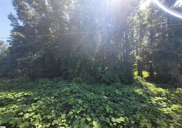 Photo 3 of Land for sale at 00 Clark Rd, Inman, SC 29349 | MLS# SPN332377 | Listing updated on 2026-08-29