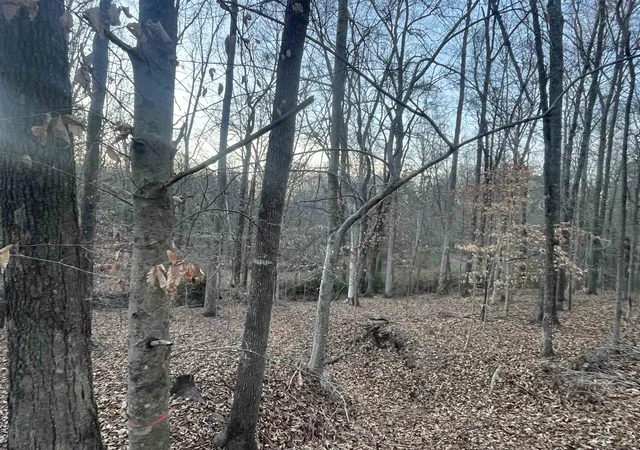 Photo 3 of Land for sale at Hwy N 221 Greenwood, Laurens, SC 29360 | MLS# SPN332429 | Listing updated on 2026-01-11