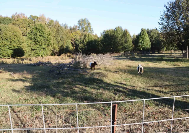 Photo 3 of Land for sale at 240 Simmons Rd, Woodruff, SC 29388 | MLS# SPN332589 | Listing updated on 2026-01-18