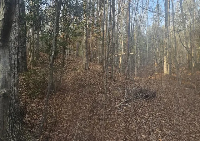 Photo 1 of Land for sale at 0 Bishop Rd, Pauline, SC 29374 | MLS# SPN332874 | Listing updated on 2026-05-01