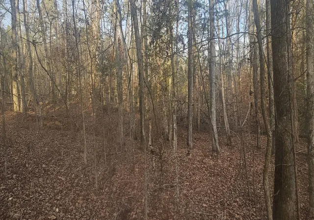 Photo 2 of Land for sale at 0 Bishop Rd, Pauline, SC 29374 | MLS# SPN332874 | Listing updated on 2026-05-01
