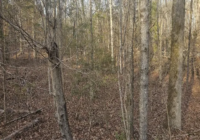 Photo 3 of Land for sale at 0 Bishop Rd, Pauline, SC 29374 | MLS# SPN332874 | Listing updated on 2026-05-01