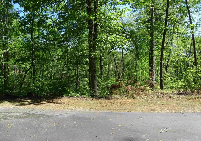 Photo 4 of Land for sale at 216 Gabriel Way, Pickens, SC 29671 | MLS# SPN333030 | Listing updated on 2026-04-18
