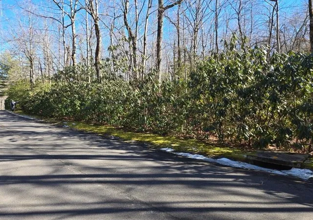 Land for sale at 108 Hemlock Trl, Cleveland, SC 29635 | MLS# SPN333484