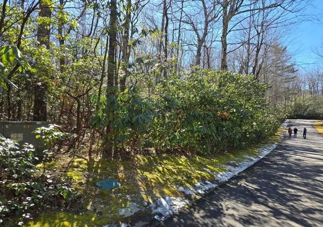 Photo 3 of Land for sale at 108 Hemlock Trl, Cleveland, SC 29635 | MLS# SPN333484 | Listing updated on 2026-09-05