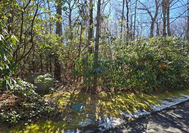 Photo 3 of Land for sale at 108 Hemlock Trl, Cleveland, SC 29635 | MLS# SPN333484 | Listing updated on 2026-09-05