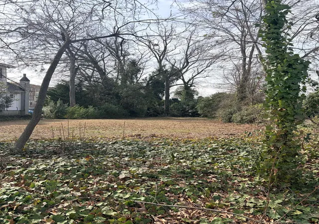 Photo 3 of Land for sale at 142 Oakland Ave, Spartanburg, SC 29302 | MLS# SPN333985 | Listing updated on 2026-02-28