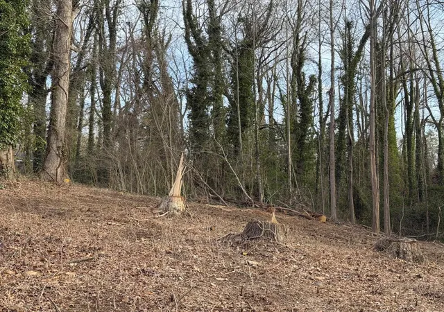 Photo 2 of Land for sale at 00 Wo Ezell Blvd, Spartanburg, SC 29301 | MLS# SPN334218 | Listing updated on 2026-03-06