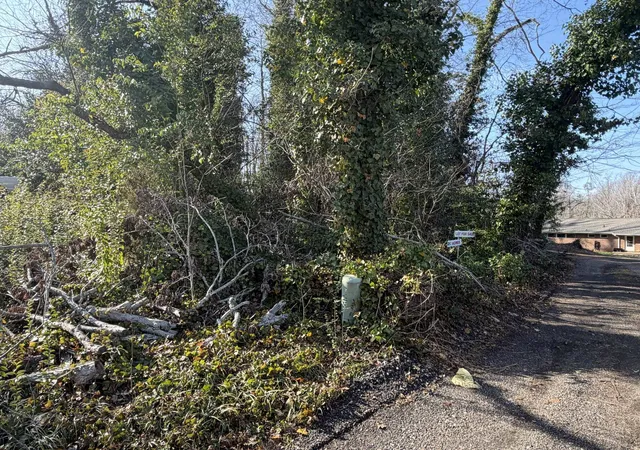 Photo 3 of Land for sale at 00 Wo Ezell Blvd, Spartanburg, SC 29301 | MLS# SPN334218 | Listing updated on 2026-03-06