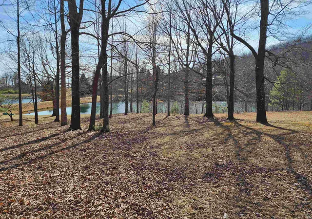 Photo 2 of Land for sale at Lot 77 Serpentine Dr, Columbus, NC 28722 | MLS# SPN334409 | Listing updated on 2026-06-28