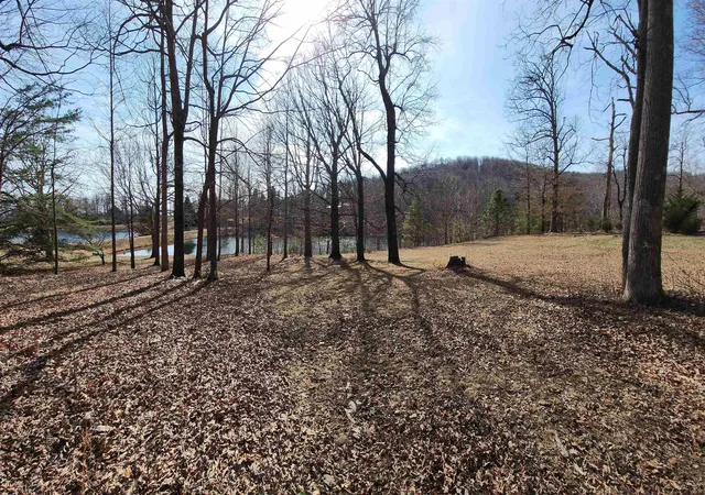 Photo 3 of Land for sale at Lot 77 Serpentine Dr, Columbus, NC 28722 | MLS# SPN334409 | Listing updated on 2026-06-28