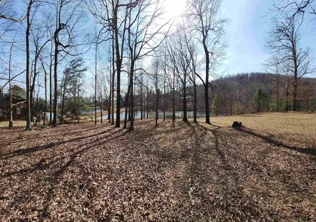 Photo 3 of Land for sale at Lot 77 Serpentine Dr, Columbus, NC 28722 | MLS# SPN334409 | Listing updated on 2026-06-28