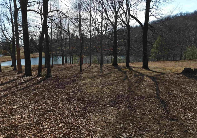 Photo 4 of Land for sale at Lot 77 Serpentine Dr, Columbus, NC 28722 | MLS# SPN334409 | Listing updated on 2026-06-28