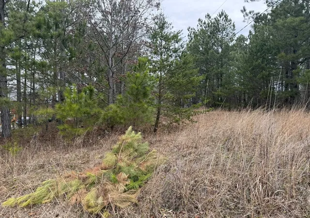 Photo 3 of Land for sale at 305 Gaffney Fry Rd, Gaffney, SC 29340 | MLS# SPN334624 | Listing updated on 2026-09-11