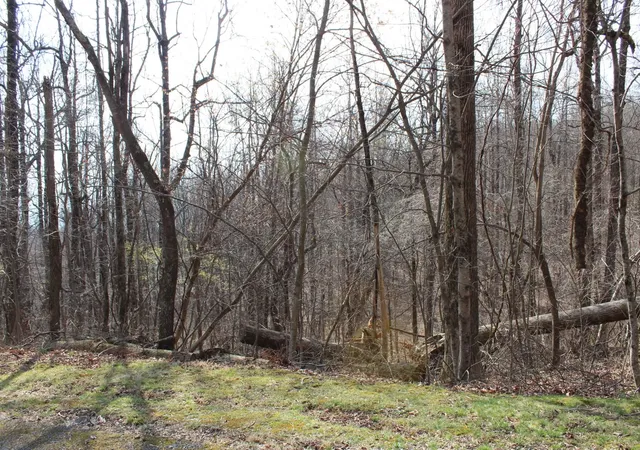 Photo 3 of Land for sale at Lot 20 Sunset Ridge Dr, Columbus, NC 28722 | MLS# SPN334981 | Listing updated on 2026-03-25