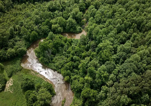 Photo 1 of Land for sale at Tbd Melvin Hl Rd, Campobello, SC 29322 | MLS# SPN335143 | Listing updated on 2026-08-24