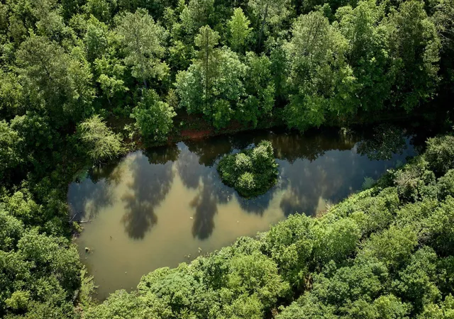 Photo 2 of Land for sale at Tbd Melvin Hl Rd, Campobello, SC 29322 | MLS# SPN335143 | Listing updated on 2026-08-24