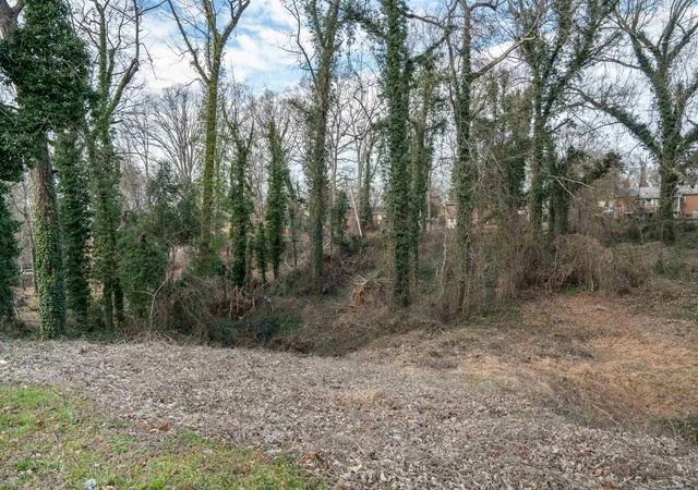 Photo 3 of Land for sale at 000 S Church St Ext, Spartanburg, SC 29306 | MLS# SPN335236 | Listing updated on 2026-04-01
