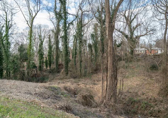 Photo 4 of Land for sale at 000 S Church St Ext, Spartanburg, SC 29306 | MLS# SPN335236 | Listing updated on 2026-04-01