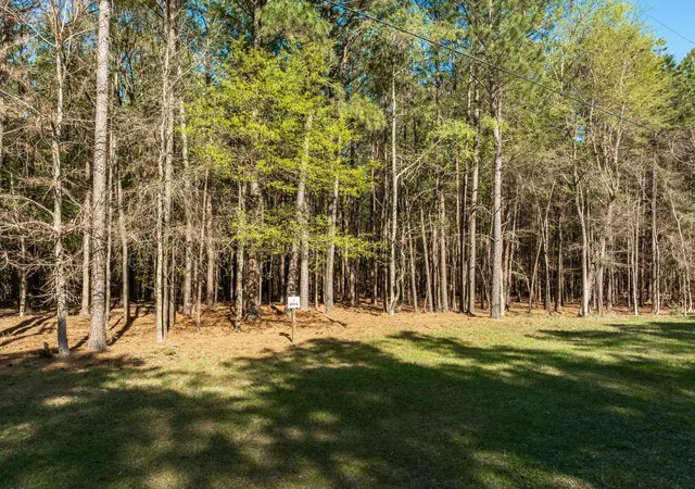 Photo 3 of Land for sale at 201 Peninsula Dr, Prosperity, SC | MLS# SPN335244 | Listing updated on 2026-10-07