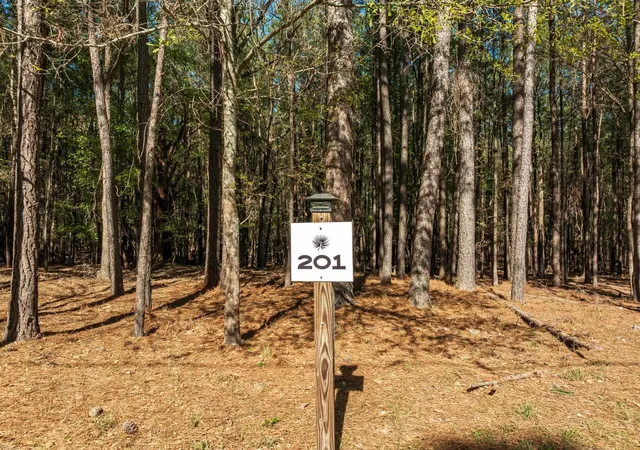 Photo 3 of Land for sale at 201 Peninsula Dr, Prosperity, SC | MLS# SPN335244 | Listing updated on 2026-10-07