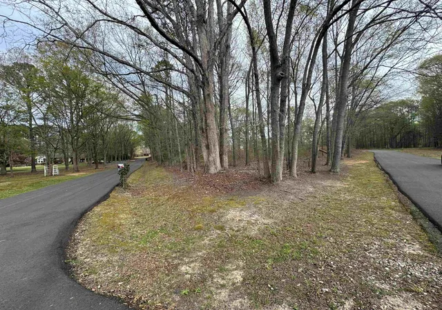 Photo 3 of Land for sale at 209 Cedar Cir, Chesnee, SC 29323 | MLS# SPN336263 | Listing updated on 2026-09-21