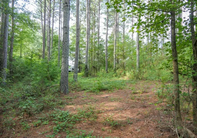 Photo 11 of Land for sale at 0 Asbury Rd, Pacolet, SC 29372 | MLS# SPN336794 | Listing updated on 2026-08-29
