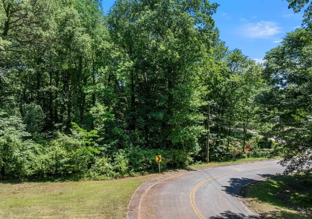 Homes for sale in Greer, SC | 407 Palmetto Dr, Greer, SC 29651 | MLS# SPN336824