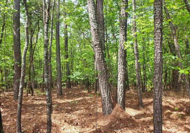 Photo 2 of Sale Pending at 0 Courtney Rd, Cowpens, SC 29330 | MLS# SPN336952 | Listing updated on 2026-08-04
