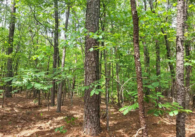 Photo 3 of Sale Pending at 0 Courtney Rd, Cowpens, SC 29330 | MLS# SPN336952 | Listing updated on 2026-08-04
