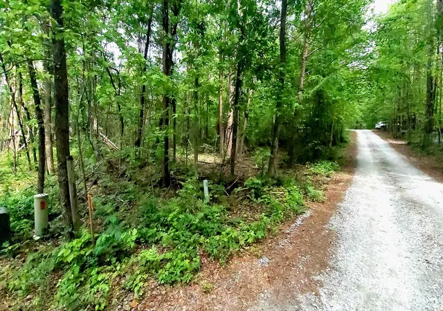 Land for sale at 20 Integral Ln, Travelers Rest, SC 29690 | MLS# SPN337107