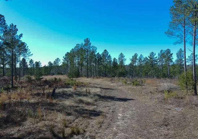 Photo 2 of Land for sale at 0 Fields Rd, Pauline, SC 29374 | MLS# SPN337116 | Listing updated on 2026-05-16