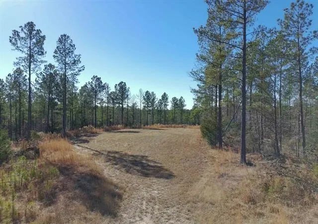Photo 3 of Land for sale at 0 Fields Rd, Pauline, SC 29374 | MLS# SPN337116 | Listing updated on 2026-05-16