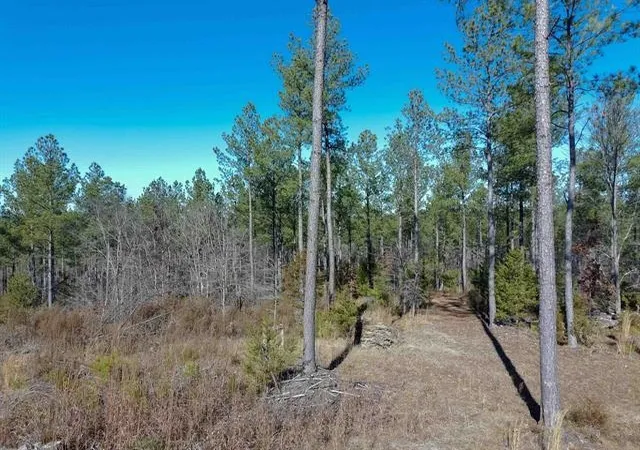 Photo 3 of Land for sale at 0 Fields Rd, Pauline, SC 29374 | MLS# SPN337116 | Listing updated on 2026-05-16