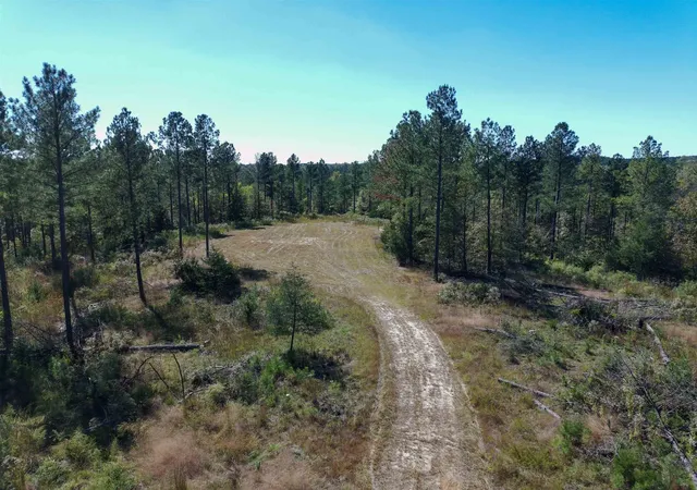 Photo 7 of Land for sale at 0 Fields Rd, Pauline, SC 29374 | MLS# SPN337116 | Listing updated on 2026-05-16
