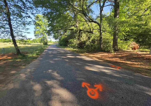 Photo 3 of Land for sale at 326 Aldrich Rd, Chesnee, SC 29323 | MLS# SPN337162 | Listing updated on 2026-10-08