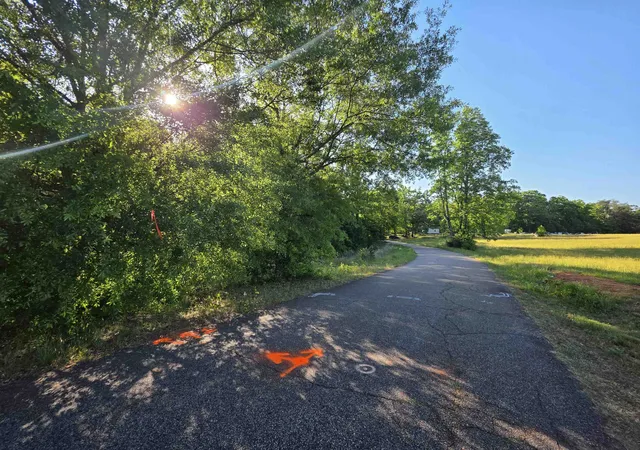 Photo 3 of Land for sale at 326 Aldrich Rd, Chesnee, SC 29323 | MLS# SPN337162 | Listing updated on 2026-10-08