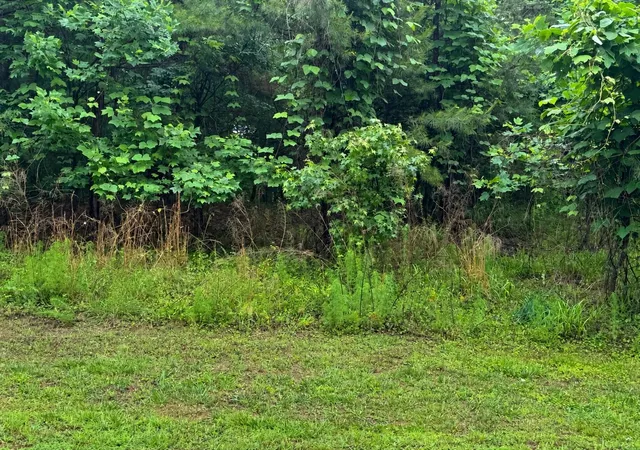 4th image of Lot 82a2 Safety Harbor Rd, West Union, SC 29696 | MLS# SPN337260