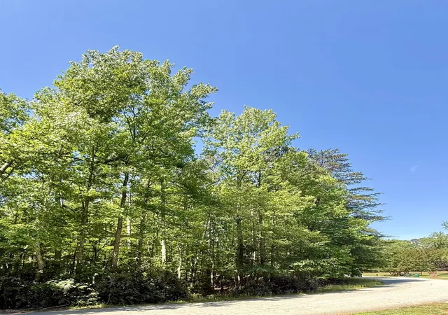 Photo 1 of Land for sale at 00 Woodwind Dr, Spartanburg, SC 29302 | MLS# SPN337298 | Listing updated on 2026-05-21