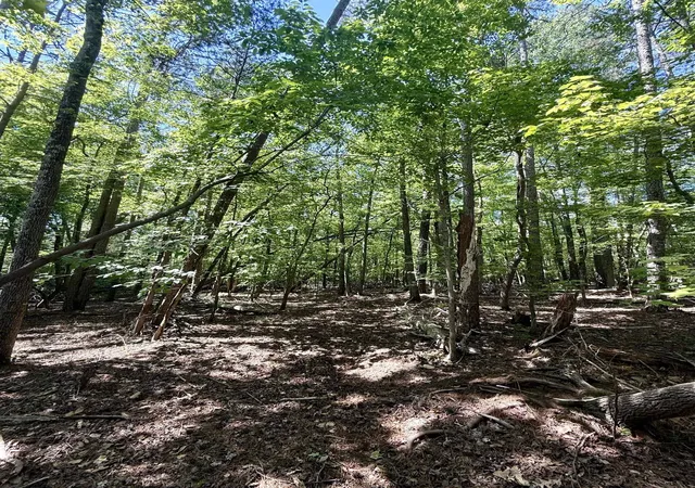 Photo 4 of Land for sale at 00 Woodwind Dr, Spartanburg, SC 29302 | MLS# SPN337298 | Listing updated on 2026-05-21