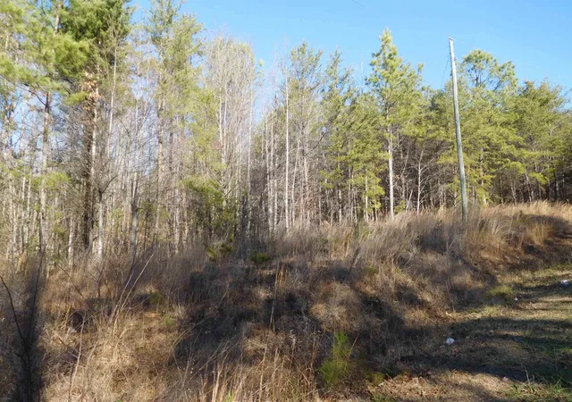 Photo 3 of Land for sale at 00 Leadmine Rd, Gaffney, SC 29340 | MLS# SPN337391 | Listing updated on 2026-07-15