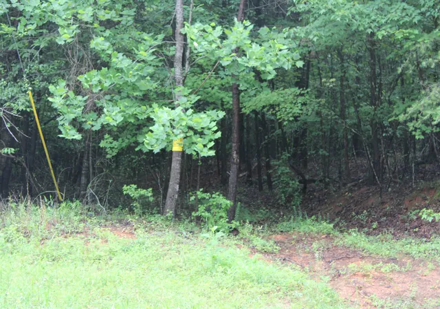 2nd image of 393 Goldmine Rd, Spartanburg, SC 29307 | MLS# SPN337508