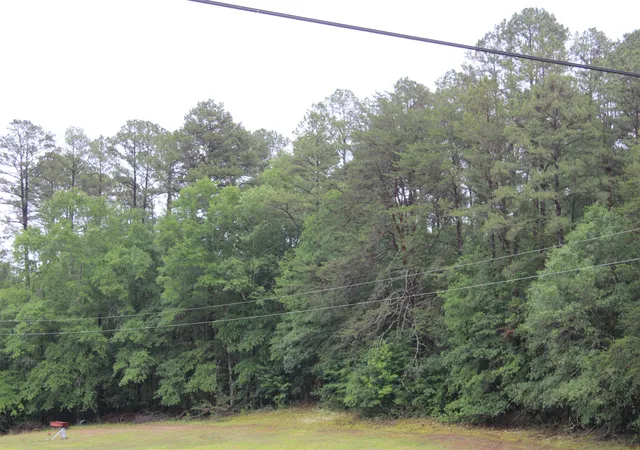 3rd image of 393 Goldmine Rd, Spartanburg, SC 29307 | MLS# SPN337508