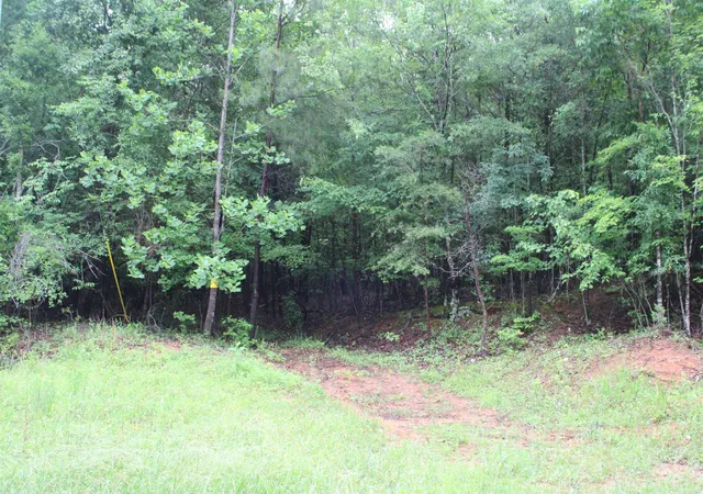 5th image of 393 Goldmine Rd, Spartanburg, SC 29307 | MLS# SPN337508